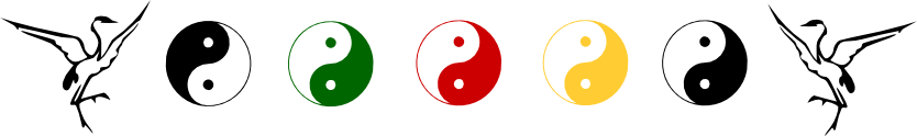 Tai chi banner